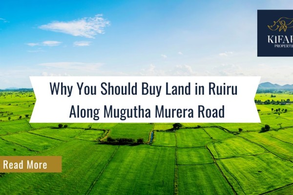 Why You Should Buy Land in Ruiru Along Mugutha Murera Road
